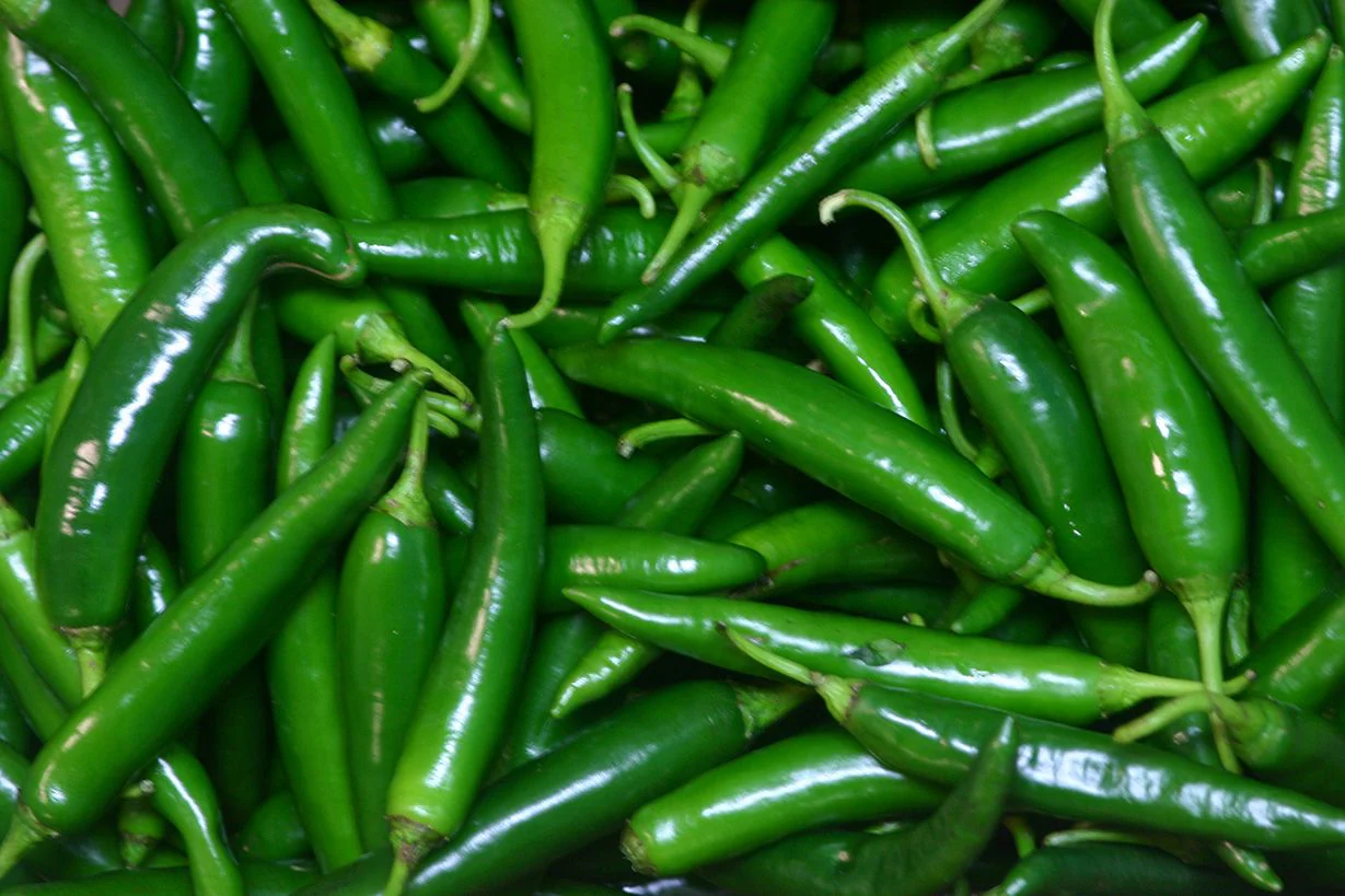 Green Chilli Nepal